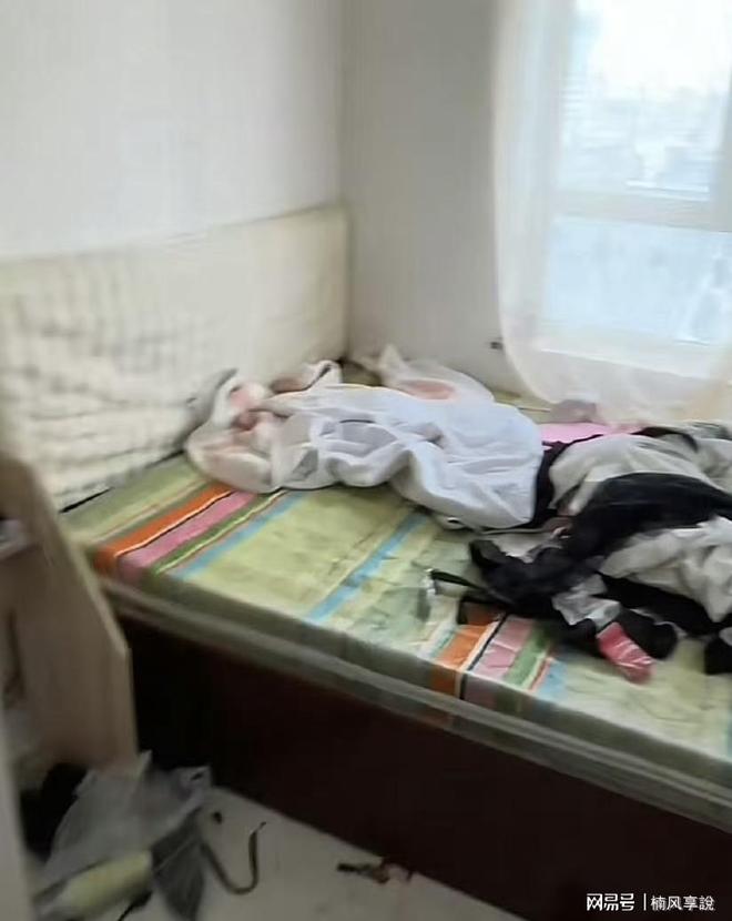 网红小乔退房现场惊现“生化危机”AG真人提灯定损VS垃圾成山：(图4)